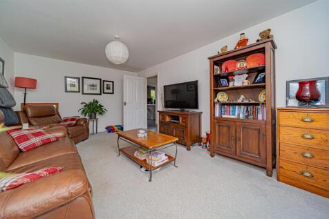 P1054925-Enhanced-NR.jpg
