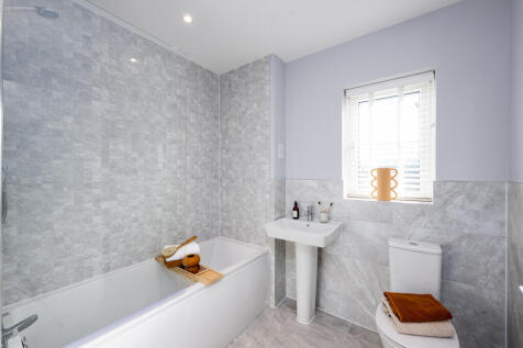 B-VISE-ORCHP-PLOT1SH-24-007