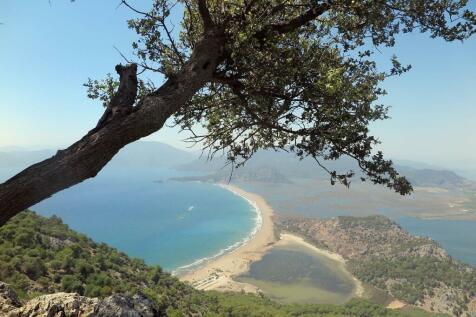 Iztuzu View