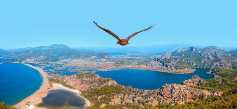 Dalyan