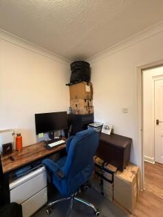 Study Area