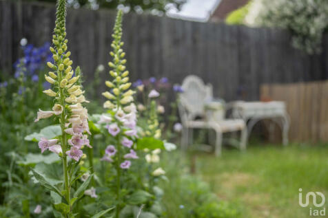 Property Image 22