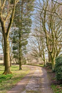 Woodlands Farm