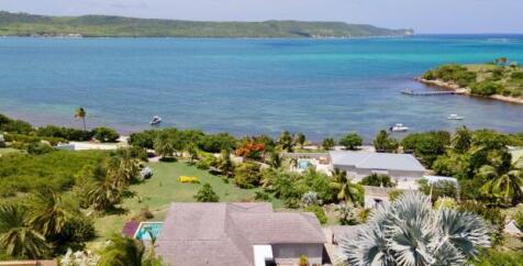 Crawl Bay View
