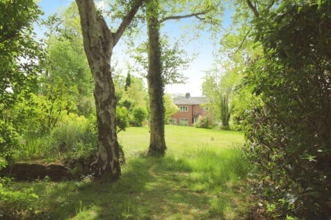 Property Image 46