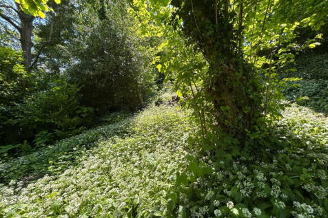Property Image 50