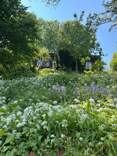 Property Image 52