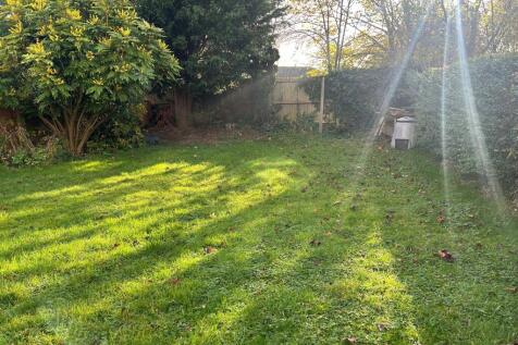 Garden T202411151126.jpg