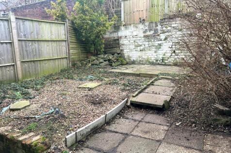 Garden T202412181117.jpg