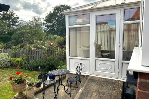 Patio T202510280906.jpg