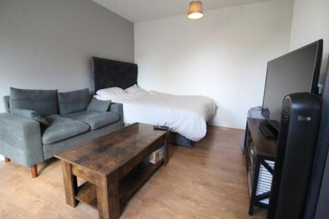 Living Room/Bedroom