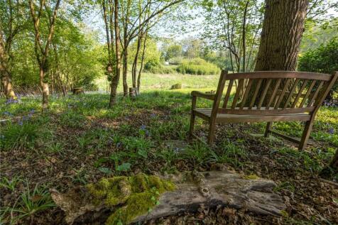 Bluebells In Garden