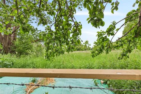 Rear Of Garden