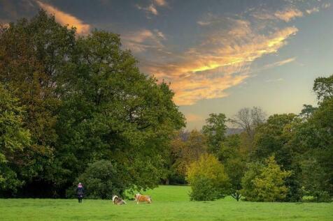 Country Park