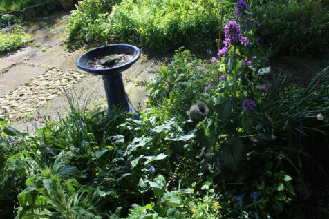 Property Image 26