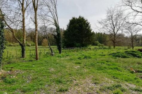 Plot View