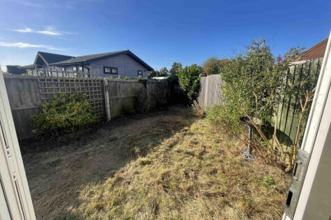 Back Garden