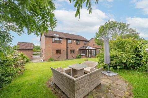 Property Image 44