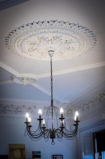 Z91_5441.jpg