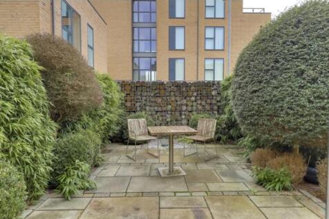 Back garden