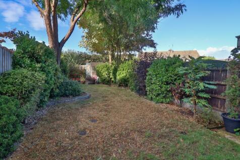 view down the garden