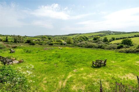 The Land / Paddock