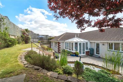 Back Garden