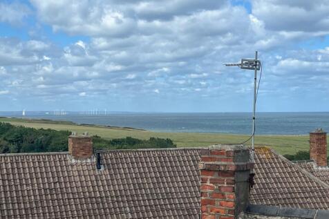 Coral Saltburn-7