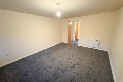 motion_photo_3736772056062549148