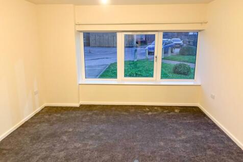 motion_photo_5816376617251290051