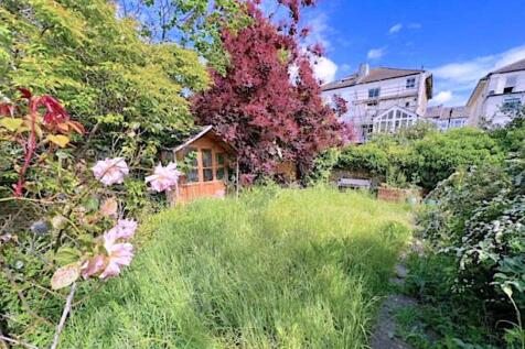 Garden at Back
