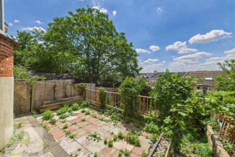 Back Garden