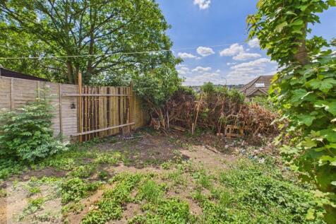 Back Garden