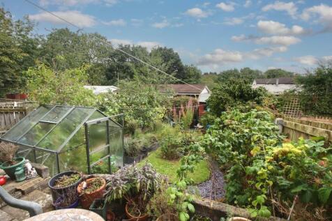 Back Garden