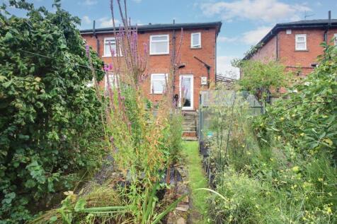 Back Garden