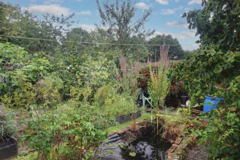 Back Garden