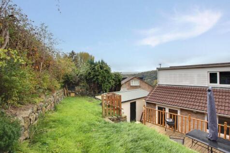 Back Garden