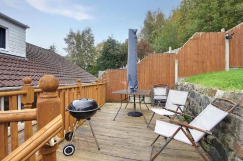 Back Garden