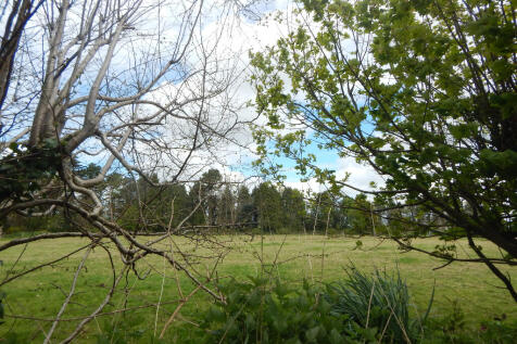 Field