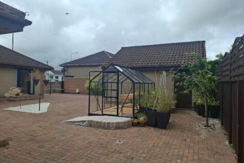 Back garden