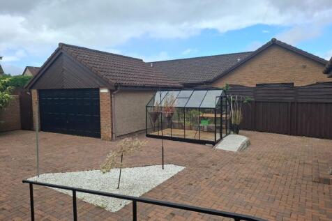 Back garden