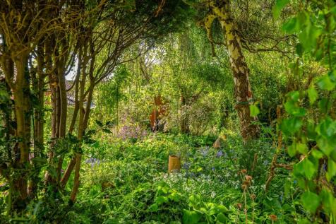 Property Image 33