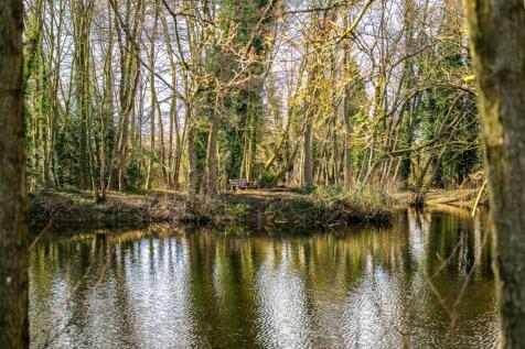 Property Image 31