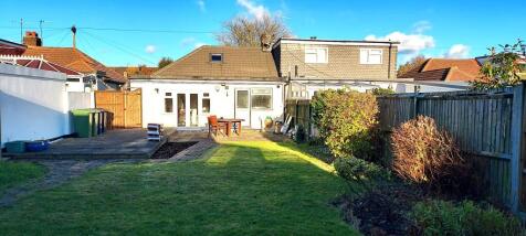 Back garden1