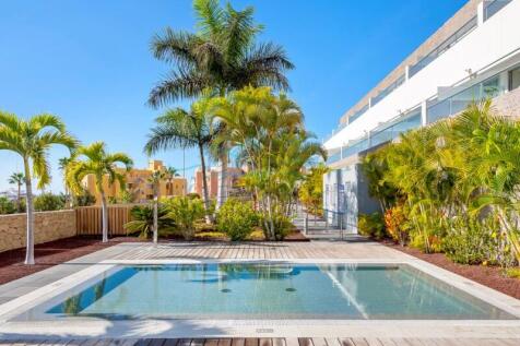 Caleta Palms swimming pool