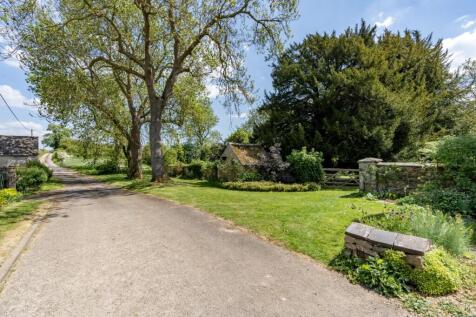 Rear Gardens