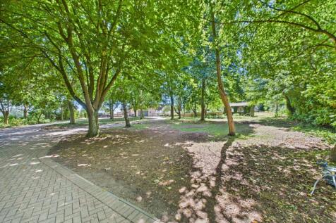 Grounds