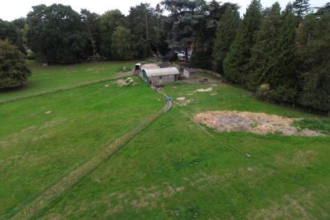 DJI_0250.JPG