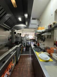 IMG_5337.jpeg