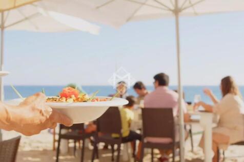 males beach drink friendship fun outdoors paella p